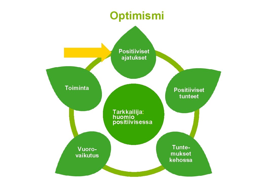 Optimismi Positiiviset ajatukset Toiminta Positiiviset tunteet Tarkkailija: huomio positiivisessa Vuorovaikutus Tuntemukset kehossa 