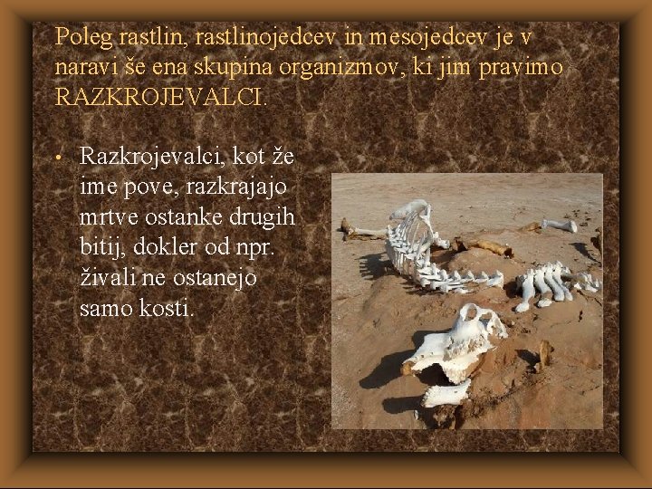 Poleg rastlin, rastlinojedcev in mesojedcev je v naravi še ena skupina organizmov, ki jim