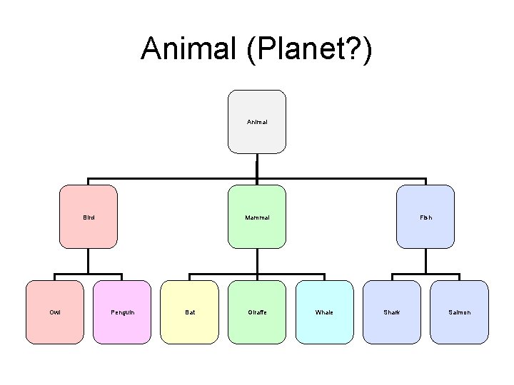 Animal (Planet? ) Animal Bird Owl Mammal Penguin Bat Giraffe Fish Whale Shark Salmon