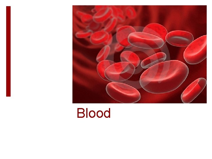 Blood 