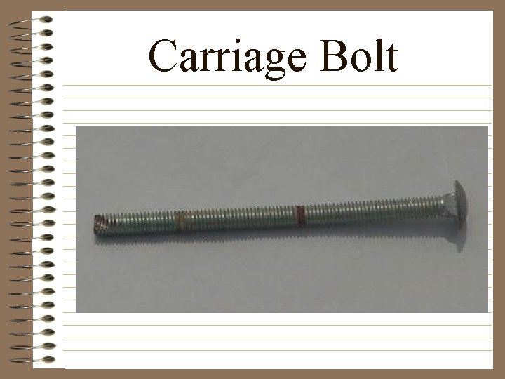 Carriage Bolt 