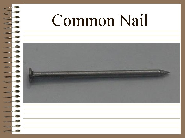 Common Nail 