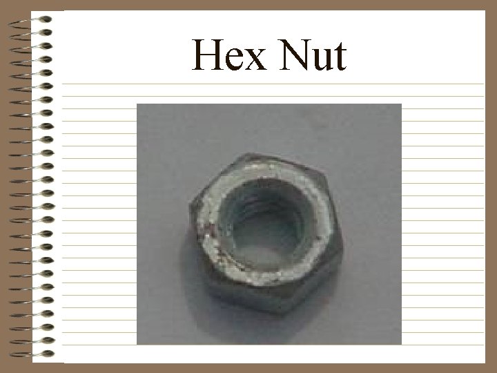 Hex Nut 