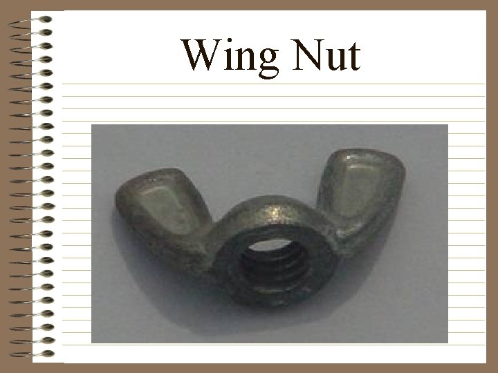 Wing Nut 
