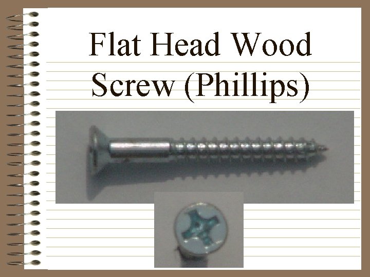 Flat Head Wood Screw (Phillips) 