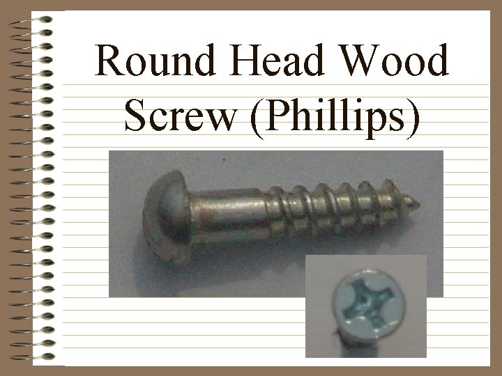 Round Head Wood Screw (Phillips) 