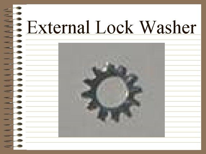 External Lock Washer 