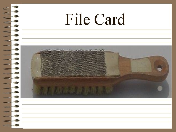 File Card 