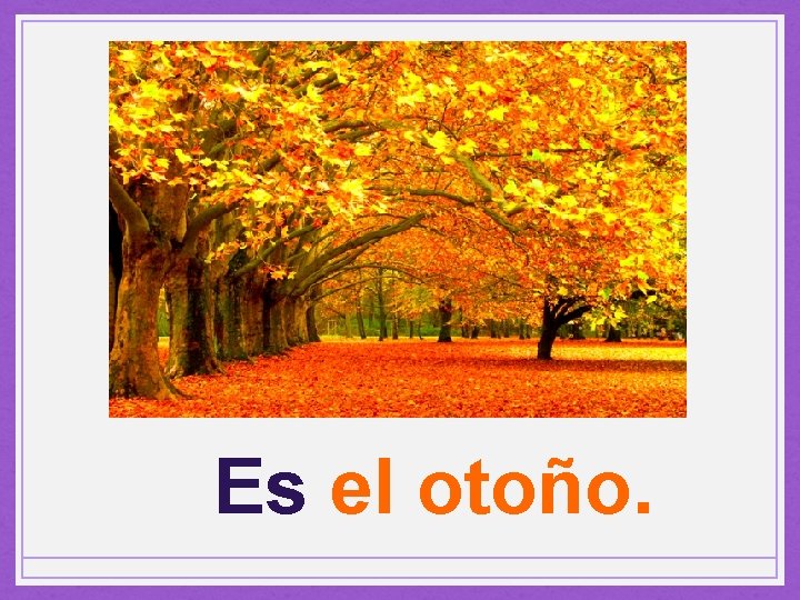 Es el otoño. 