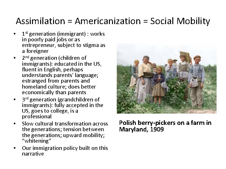 Assimilation = Americanization = Social Mobility • • • 1 st generation (immigrant) :