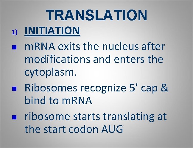 TRANSLATION 1) n n n INITIATION m. RNA exits the nucleus after modifications and TRANSLATION 1) n n n INITIATION m. RNA exits the nucleus after modifications and