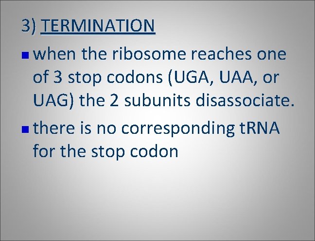 3) TERMINATION n when the ribosome reaches one of 3 stop codons (UGA, UAA, 3) TERMINATION n when the ribosome reaches one of 3 stop codons (UGA, UAA,