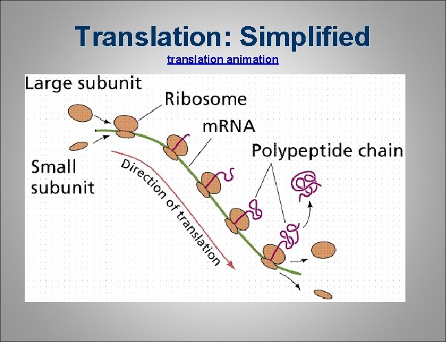 Translation: Simplified translation animation Translation: Simplified translation animation