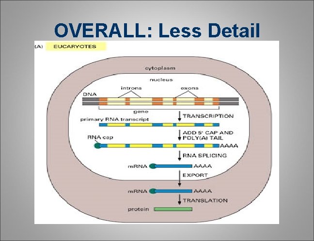 OVERALL: Less Detail OVERALL: Less Detail