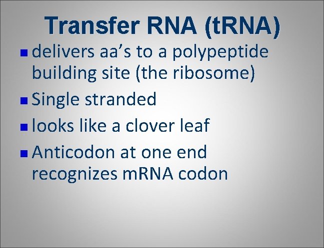 Transfer RNA (t. RNA) delivers aa’s to a polypeptide building site (the ribosome) n Transfer RNA (t. RNA) delivers aa’s to a polypeptide building site (the ribosome) n