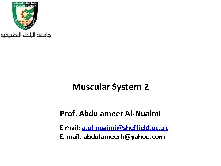 Muscular System 2 Prof. Abdulameer Al-Nuaimi E-mail: a. al-nuaimi@sheffield. ac. uk E. mail: abdulameerh@yahoo.