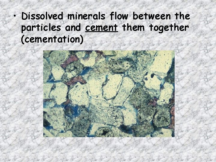 • Dissolved minerals flow between the particles and cement them together (cementation) • Dissolved minerals flow between the particles and cement them together (cementation)