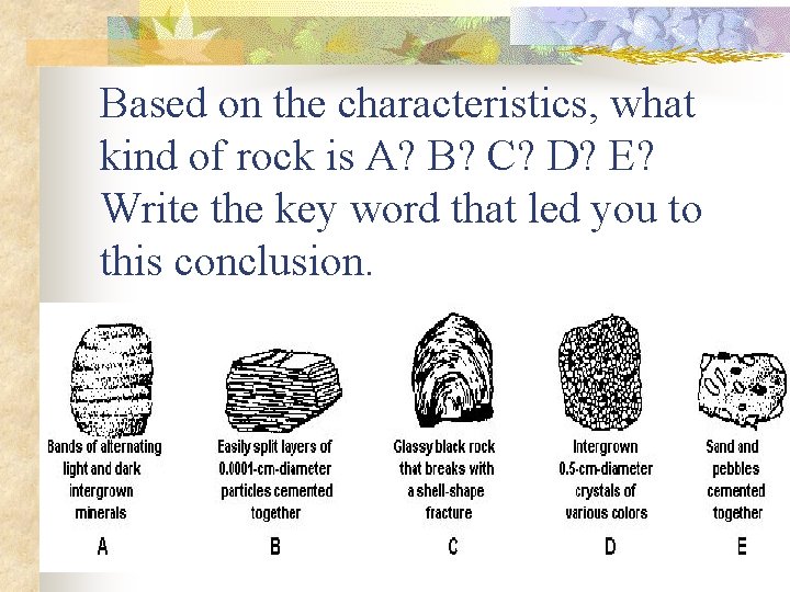 Based on the characteristics, what kind of rock is A? B? C? D? E?