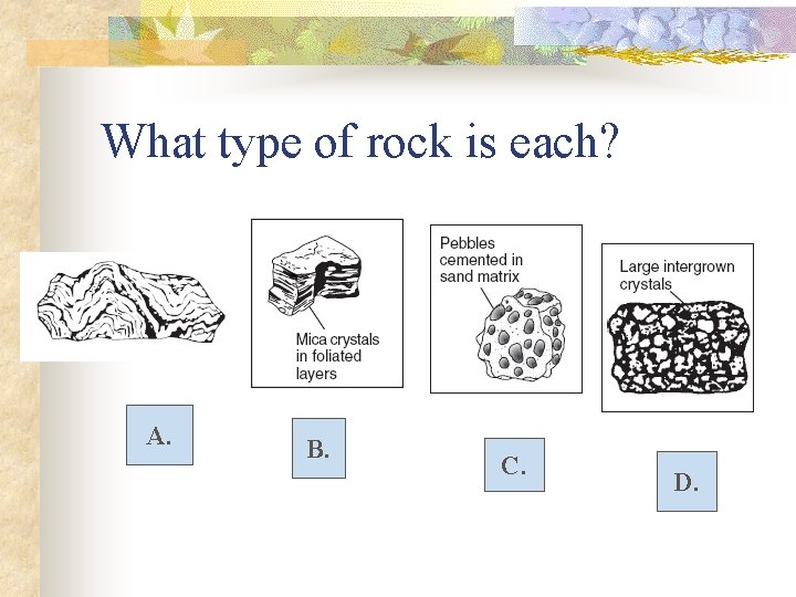 What type of rock is each? A. B. C. D. 