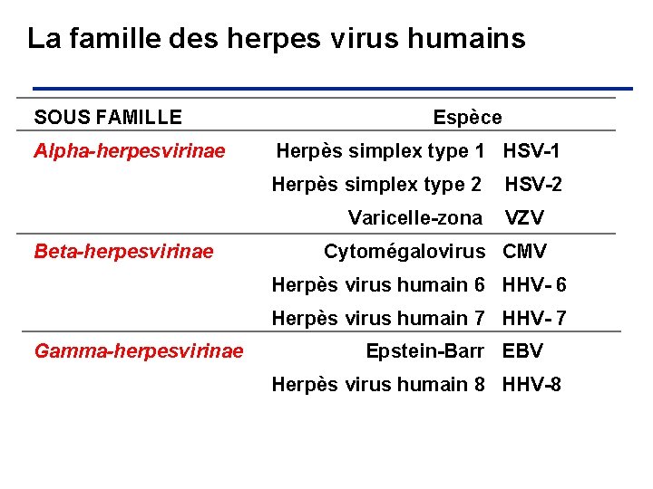 La famille des herpes virus humains SOUS FAMILLE Alpha-herpesvirinae Espèce Herpès simplex type 1