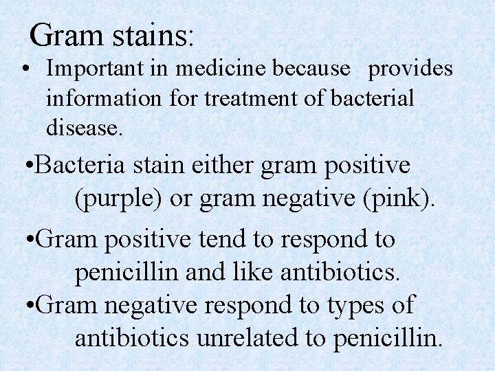 Gram stains: • Important in medicine because provides information for treatment of bacterial disease.