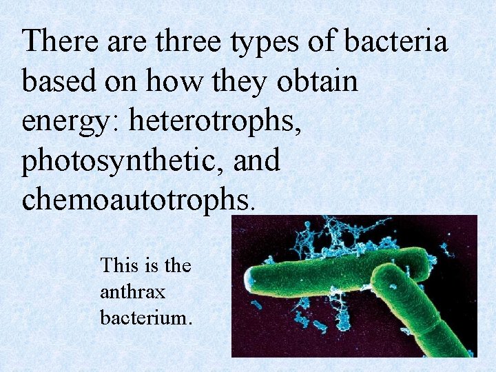 There are three types of bacteria based on how they obtain energy: heterotrophs, photosynthetic,