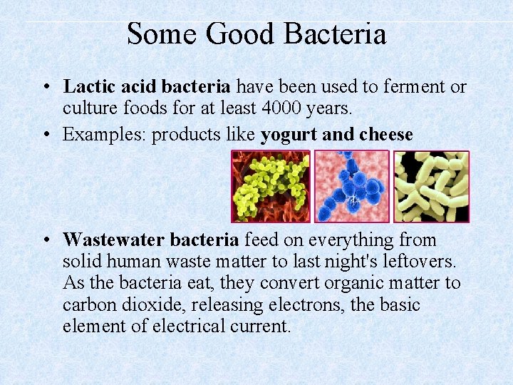 Some Good Bacteria • Lactic acid bacteria have been used to ferment or culture