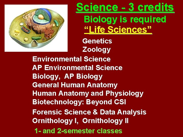 Science - 3 credits Biology is required “Life Sciences” Genetics Zoology Environmental Science AP