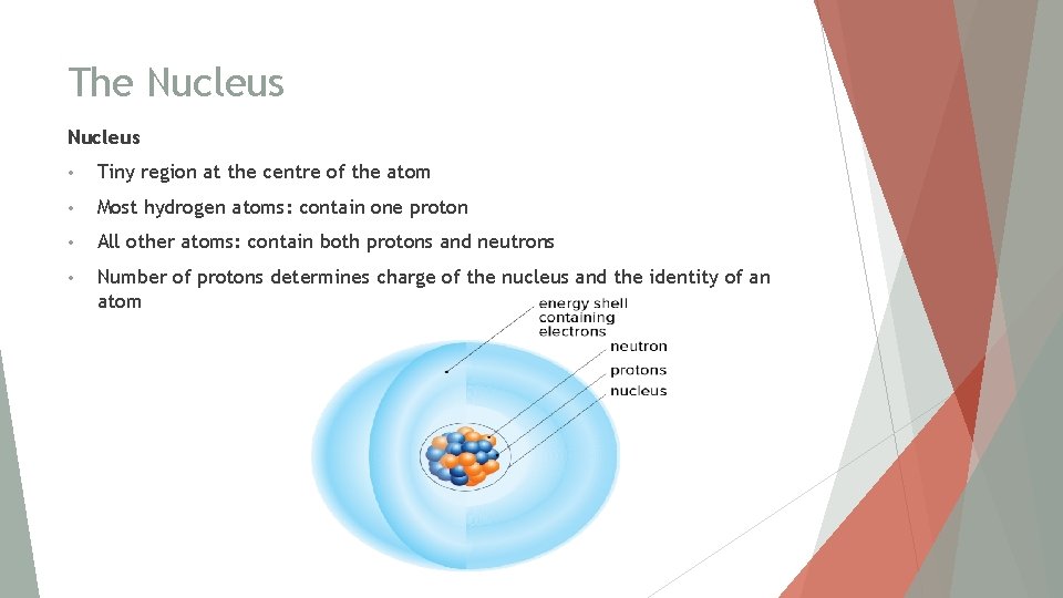 The Nucleus • Tiny region at the centre of the atom • Most hydrogen