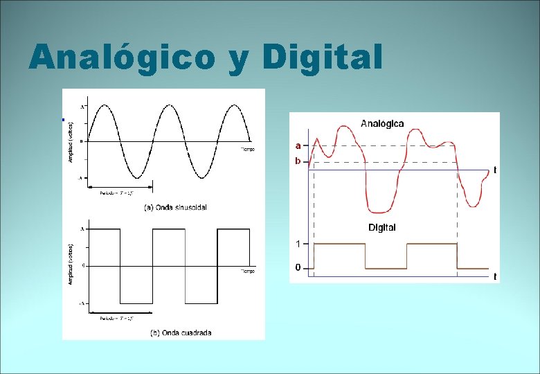 Analógico y Digital 