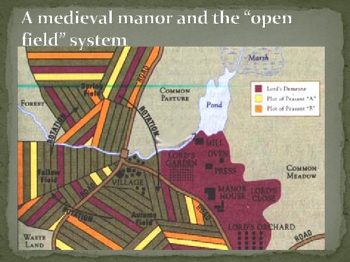 A medieval manor and the “open field” system 