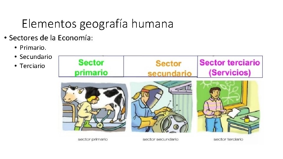 Elementos geografía humana • Sectores de la Economía: • Primario. • Secundario • Terciario