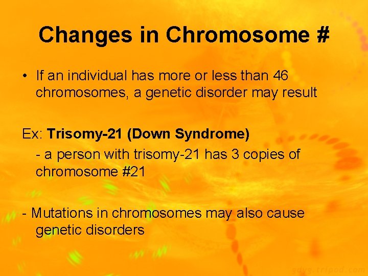 Changes in Chromosome # • If an individual has more or less than 46