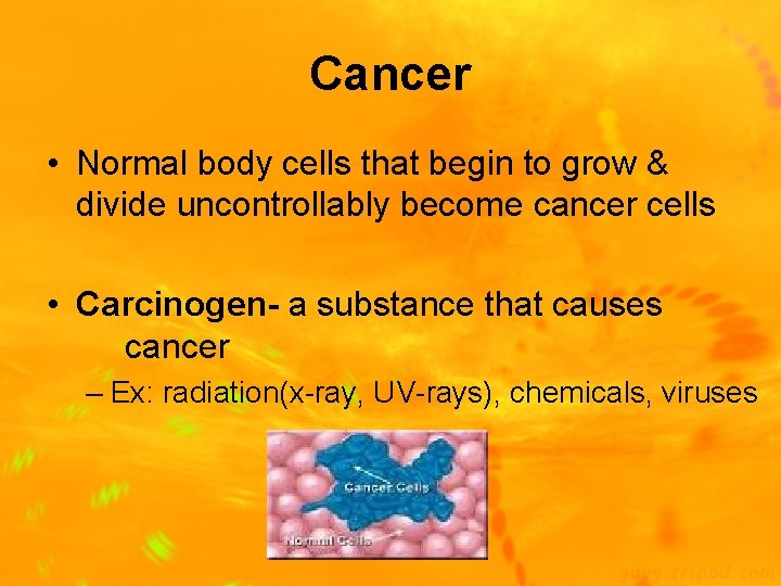 Cancer • Normal body cells that begin to grow & divide uncontrollably become cancer