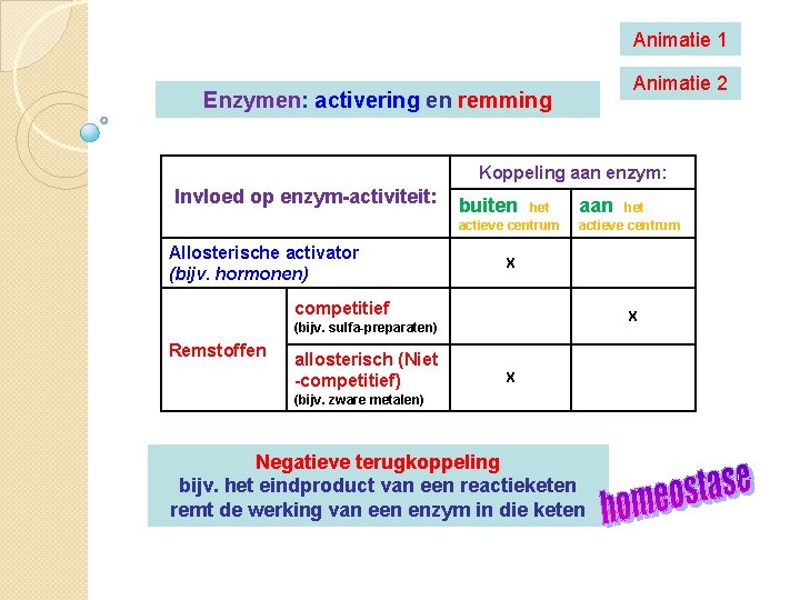 Animatie 1 Animatie 2 Enzymen: activering en remming Koppeling aan enzym: Invloed op enzym-activiteit: