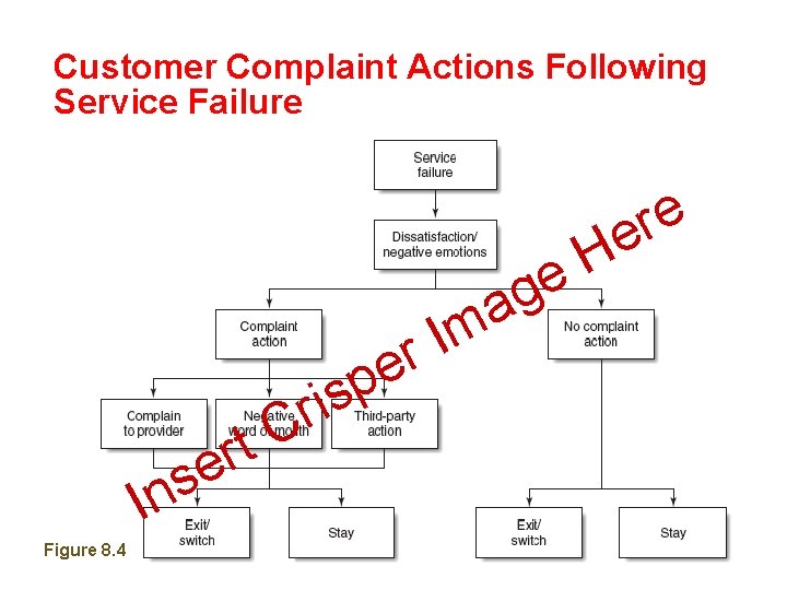 Customer Complaint Actions Following Service Failure H e e r e ir s g
