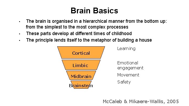 Brain Basics • • • The brain is organised in a hierarchical manner from