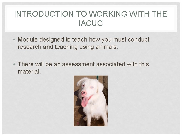 INTRODUCTION TO WORKING WITH THE IACUC • Module designed to teach how you must