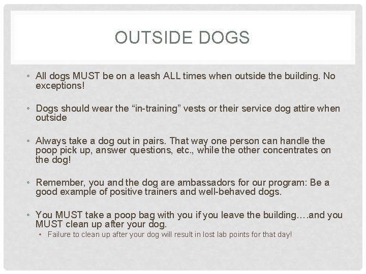 OUTSIDE DOGS • All dogs MUST be on a leash ALL times when outside