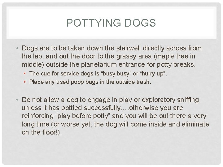 POTTYING DOGS • Dogs are to be taken down the stairwell directly across from