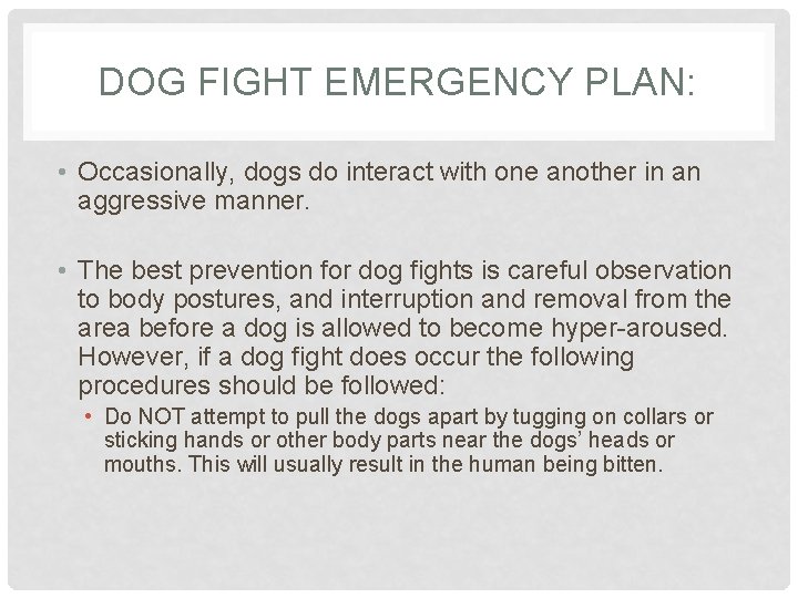 DOG FIGHT EMERGENCY PLAN: • Occasionally, dogs do interact with one another in an
