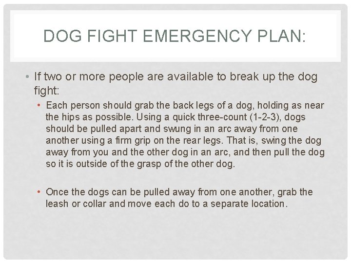 DOG FIGHT EMERGENCY PLAN: • If two or more people are available to break