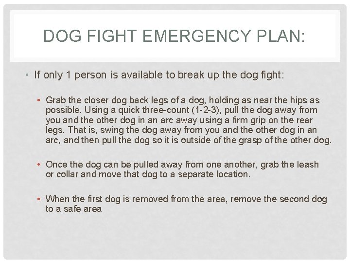 DOG FIGHT EMERGENCY PLAN: • If only 1 person is available to break up