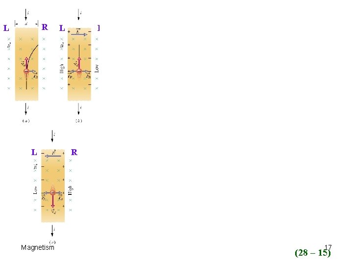 R L L Magnetism L R R 17 (28 – 15) 