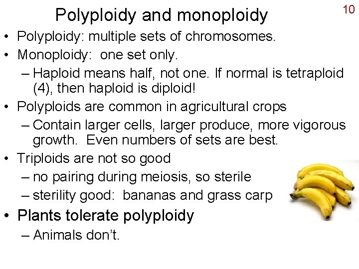Polyploidy and monoploidy 10 • Polyploidy: multiple sets of chromosomes. • Monoploidy: one set
