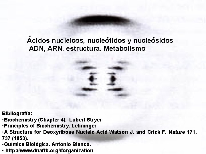 Ácidos nucleicos, nucleótidos y nucleósidos ADN, ARN, estructura. Metabolismo Bibliografía: • Biochemistry (Chapter 4). Ácidos nucleicos, nucleótidos y nucleósidos ADN, ARN, estructura. Metabolismo Bibliografía: • Biochemistry (Chapter 4).