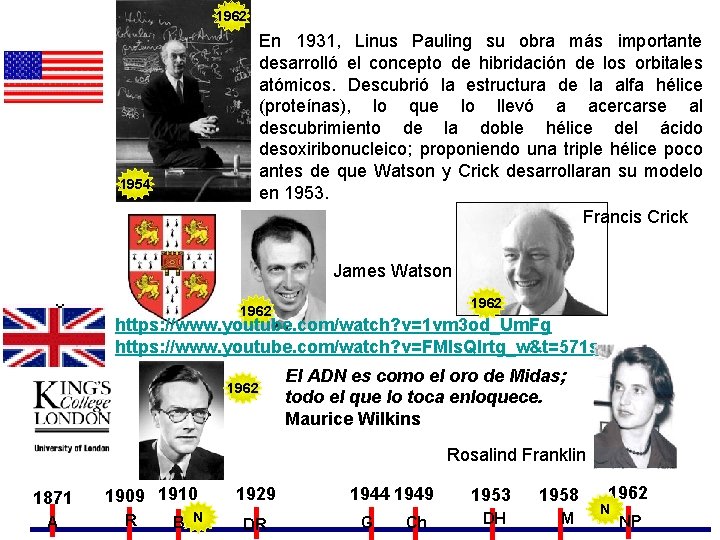 1962 En 1931, Linus Pauling su obra más importante desarrolló el concepto de hibridación 1962 En 1931, Linus Pauling su obra más importante desarrolló el concepto de hibridación