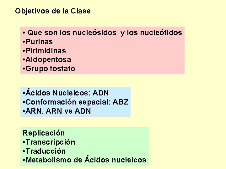 Objetivos de la Clase • Que son los nucleósidos y los nucleótidos • Purinas Objetivos de la Clase • Que son los nucleósidos y los nucleótidos • Purinas