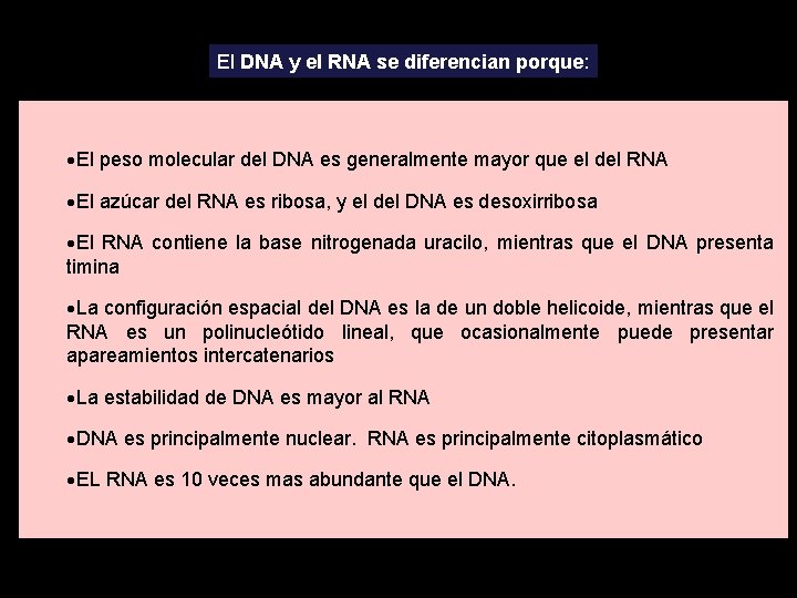 El DNA y el RNA se diferencian porque: ·El peso molecular del DNA es El DNA y el RNA se diferencian porque: ·El peso molecular del DNA es