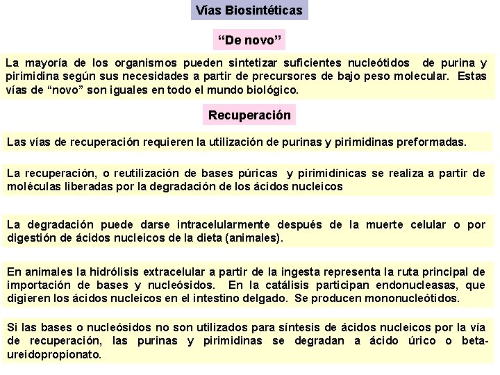 Vías Biosintéticas “De novo” La mayoría de los organismos pueden sintetizar suficientes nucleótidos de Vías Biosintéticas “De novo” La mayoría de los organismos pueden sintetizar suficientes nucleótidos de